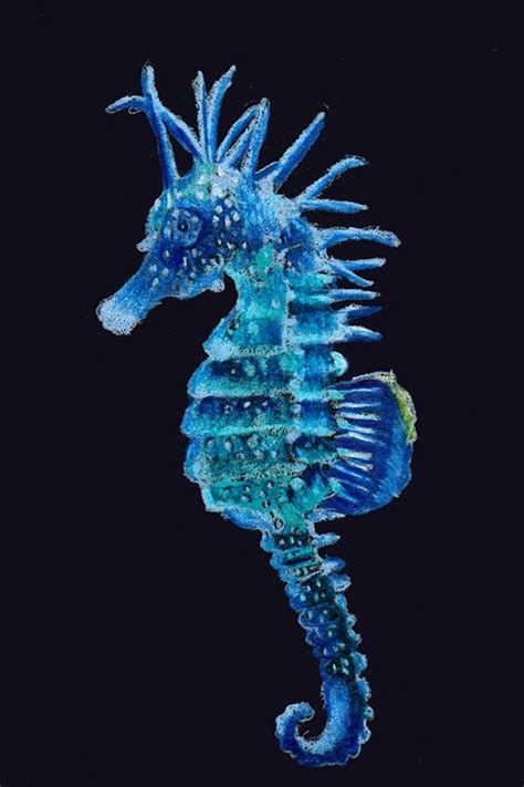 Adorable Blue Seahorse