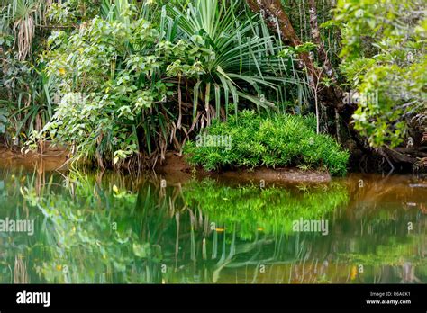 Masoala National Park Landscape Madagascar Stock Photo Alamy