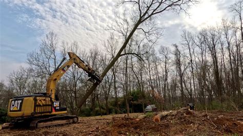 Land Clearing Series Part 3 Down To Bare Dirt YouTube