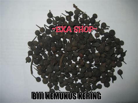 Jual Biji Kemukus Kering Gram Di Lapak Exa Shop Bukalapak