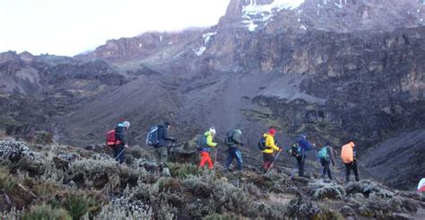 7 天勒莫绍路线乞力马扎罗山登山旅游套餐 GetYourGuide