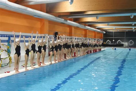 Pinguino Nuoto Avezzano Cosa Vuol Dire Essere Una Scuola Nuoto