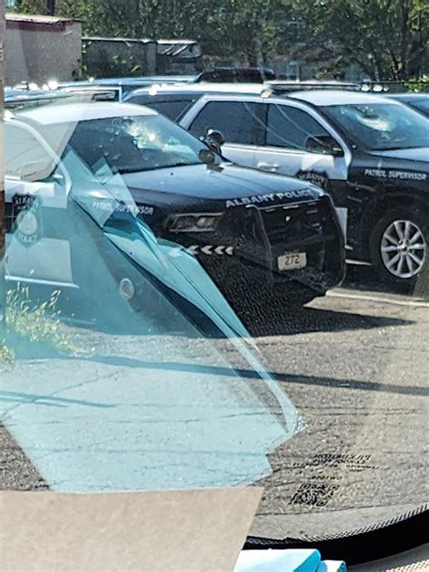 PD: Albany man arrested, vandalized police station