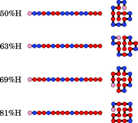 Examples Of Hp Sequences That Fold To Unique Native Structures In The