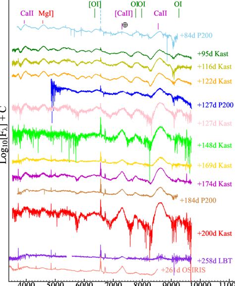 Rest Frame Spectral Evolution Of Sn Egm Strong O I Ca Ii And Mg