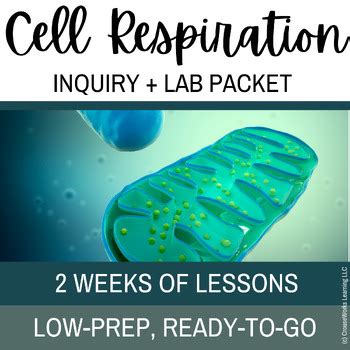 Cellular Respiration Lesson Plant Focus By Crouseworks Learning