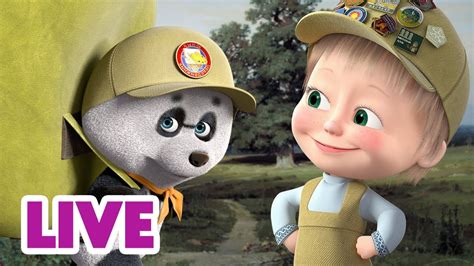 🔴 Live Stream 🎬 Masha And The Bear 📋 Recipe For Adventure ️🙌 Youtube