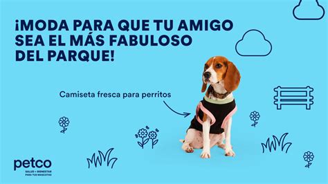 petcomexico on Twitter La hora de caminata será la pasarela de tu