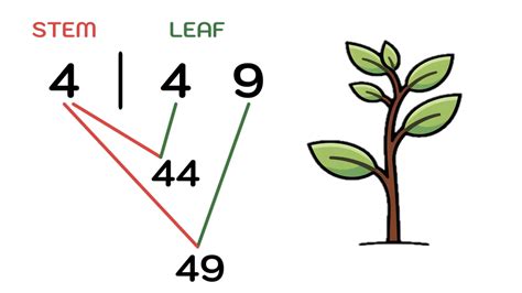 Stem And Leaf Plots Explained—simple Definition And Examples — Mashup Math