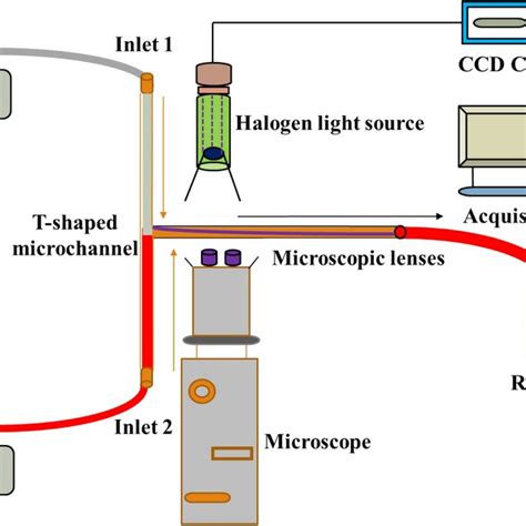 Schematic Representation Of Microfluidic Set Up Download Scientific