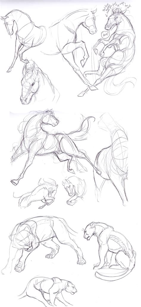 Animals By Lwyn On Deviantart Animal Drawings Horse Drawings Sketches