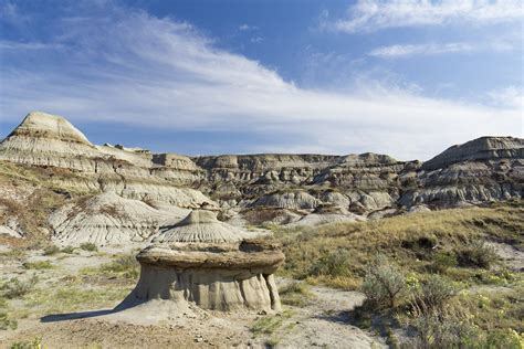 Dinosaur Provincial Park Map