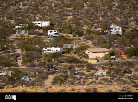 Cottonwood Campground Joshua Tree Best Sites Best Tourist Places In