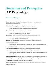 Sensation And Perception In Class Notes Ap Psychology Pdf