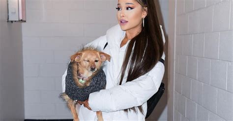 Ariana Grande Opened an Animal Rescue in Los Angeles — Details