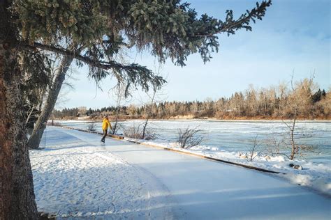 Skating At Bowness Park Everything You Need To Know