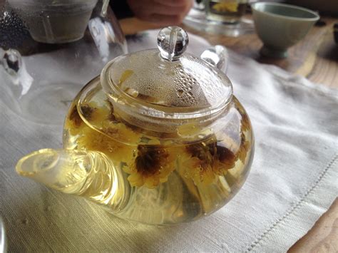 Chrysanthemum Tea