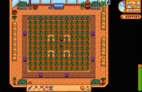 Stardew Valley: Sweet Gem Berry Locations & Uses – FandomSpot