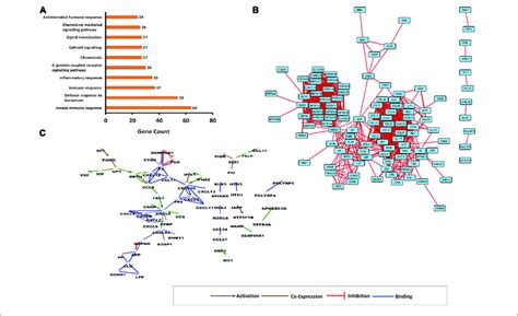 Interaction Networks Involving Human Antimicrobial And Download