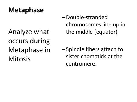 Cell Division The Life Of A Cell Ppt Download