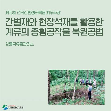 우수산림생태복원 간벌재와 현장석재를 활용한 계류의 종횡공작물 복원공법 네이버 블로그