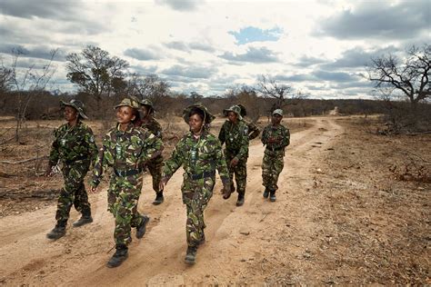 Poaching In Africa