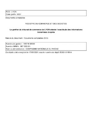 Remplissable En Ligne Consolidated Financial Statements Aca Groupe