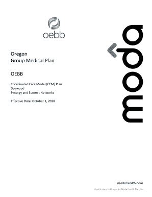 Fillable Online Coordinated Care Model Ccm Plan Fax Email Print