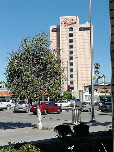 Ensenada, conoce la capital del vino mexicano