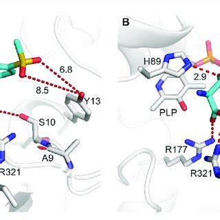 Flexible Docking Results Of MSPS Cyan In WT A And A9V Y13K Y312R