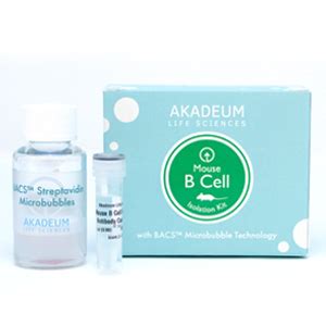 Mouse B Cell Isolation Kit Akadeum Life Sciences