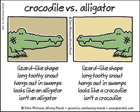 The Difference Between a Crocodile and an Alligator