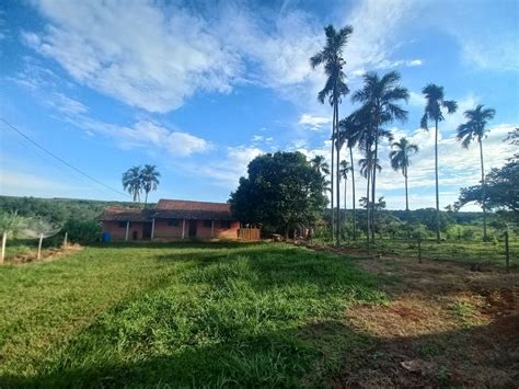 Fazenda S Tio M Em Zona Rural Em Martinho Campos Por R