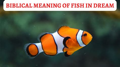 What Does The Biblical Meaning Of Fish In Dream Signify