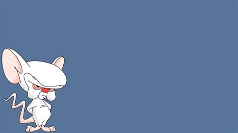 Pinky And The Brain Wallpapers Wallpaper Cave