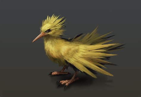 Galarian Zapdos Chocobo : The galarian form of zapdos. - Goimages Ily