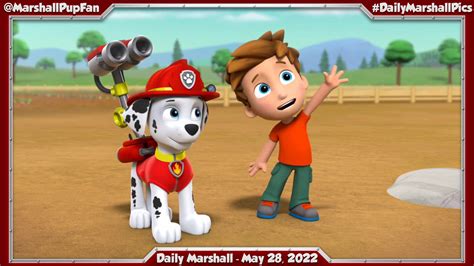 Marshall Pup Fanatic On Twitter Daily Marshall May 28 2022