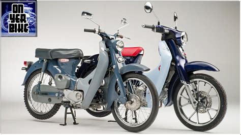 Vintage Honda Cub | seeds.yonsei.ac.kr