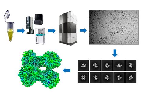 Cryo EM Resolution Revolution At NanoImaging Services