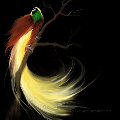 Wallpapers Birds Of Paradise - Wallpaper Cave