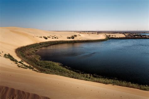 Arabia Saudita Cosa Vedere Cosa Fare Quando Andare Guida Dove Viaggi