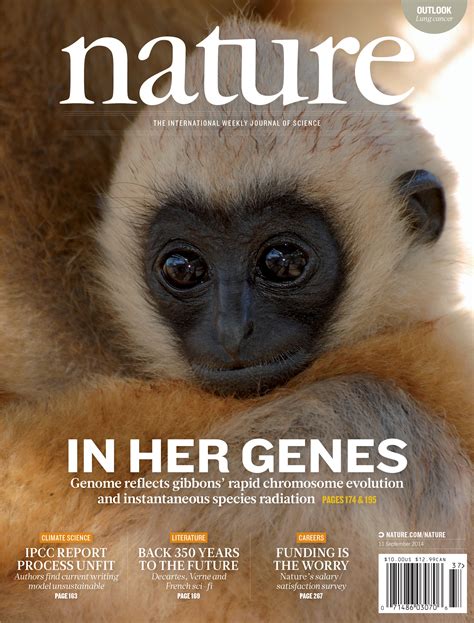 The Gibbon Genome Published In Nature The Carbone Lab