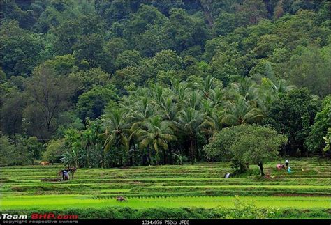 Nice Photos, Abide, Travelogue, Rivers, Temples, One Pic, Farmland ...