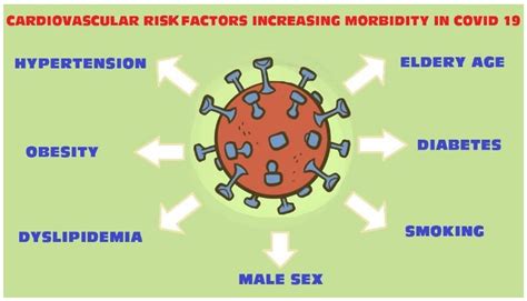 Jcm Free Full Text The Impact Of Cardiovascular Risk Factors On The