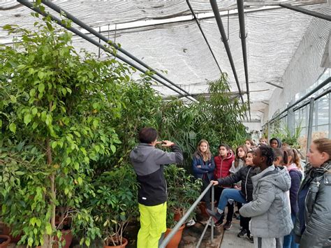 Visite Des Serres Municipales De Pontivy Ecole De Stival