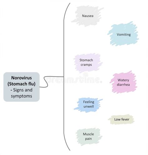 Norovirus (Stomach Flu) - Signs and Symptoms Stock Illustration ...