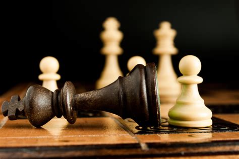 Traits Of Professional Gamblers | Characteristics, Habits & Skills