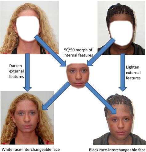 Facial Structures Of Different Races Telegraph