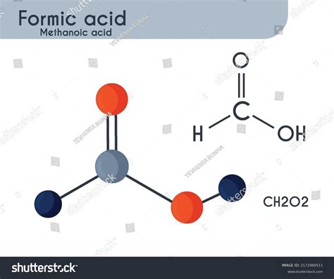 Formic Acid Molecule Structure Carbonous Acid Stock Vector Royalty Free 2172960511 Shutterstock