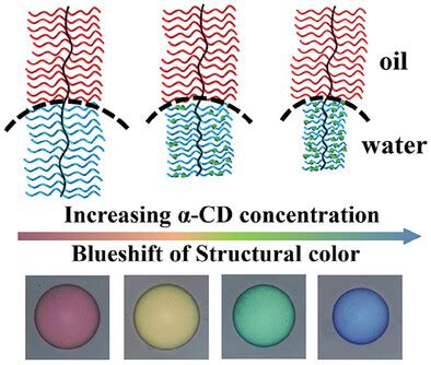 Host‐Guest Interaction Mediated Interfacial Co‐Assembly of Cyclodextrin ...